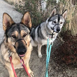 Meet your Posher, Dorothy